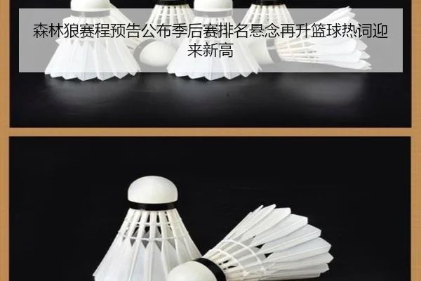 sen-lin-lang-sai-cheng-yu-gao-gong-bu-ji-hou-sai-pai-ming-xuan-nian-zai-sheng-lan-qiu-re-ci-ying-lai-xin-gao-2-883.jpg